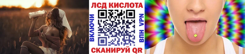 дарнет шоп Кукмор Марки N-bome 1,8мг