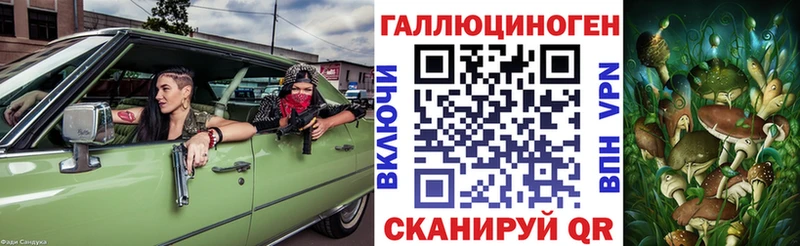 Галлюциногенные грибы Psilocybe  Кукмор 